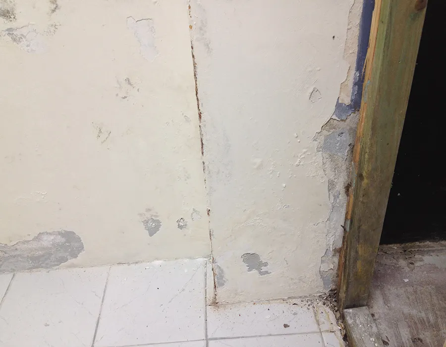 Wall cracking and paint peeling from reactive soil damage